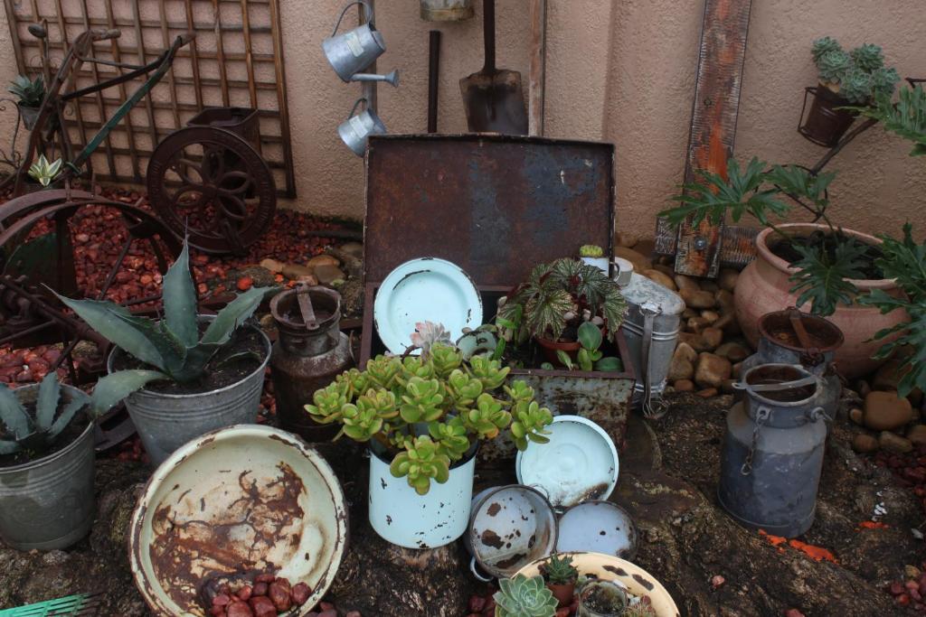 Aber Jetz Guesthouse Pongola Kültér fotó